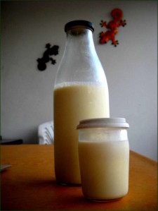 lait de soja et yaourt de soja maison