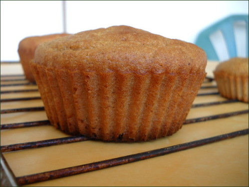 Muffins à l'okara au miel