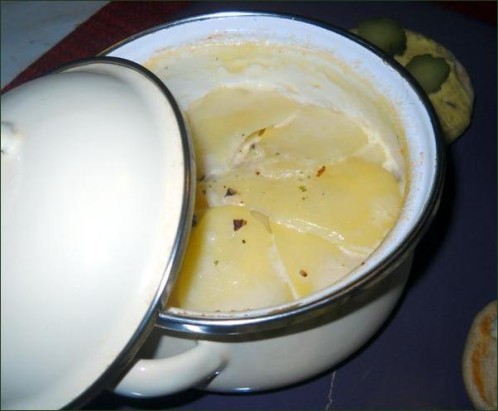 photo Gratin dauphinois en mini cocotte vegecarib869